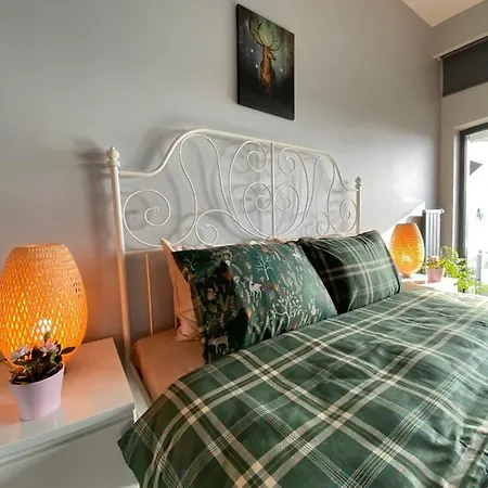 Amazing Big Flat In Taksim
